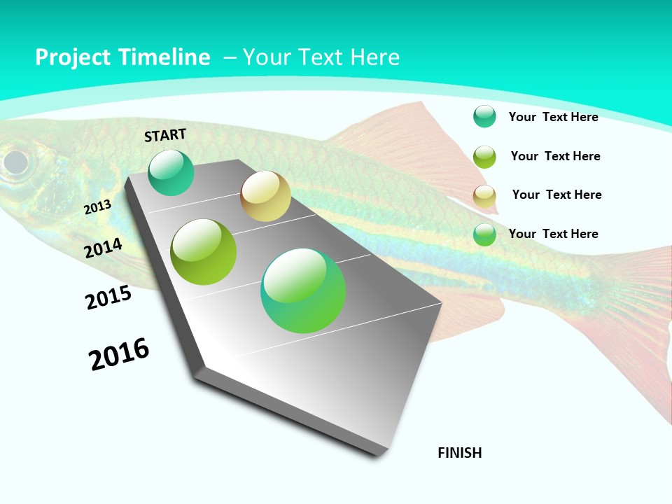 Swimming Design Elements Marinelife PowerPoint Template