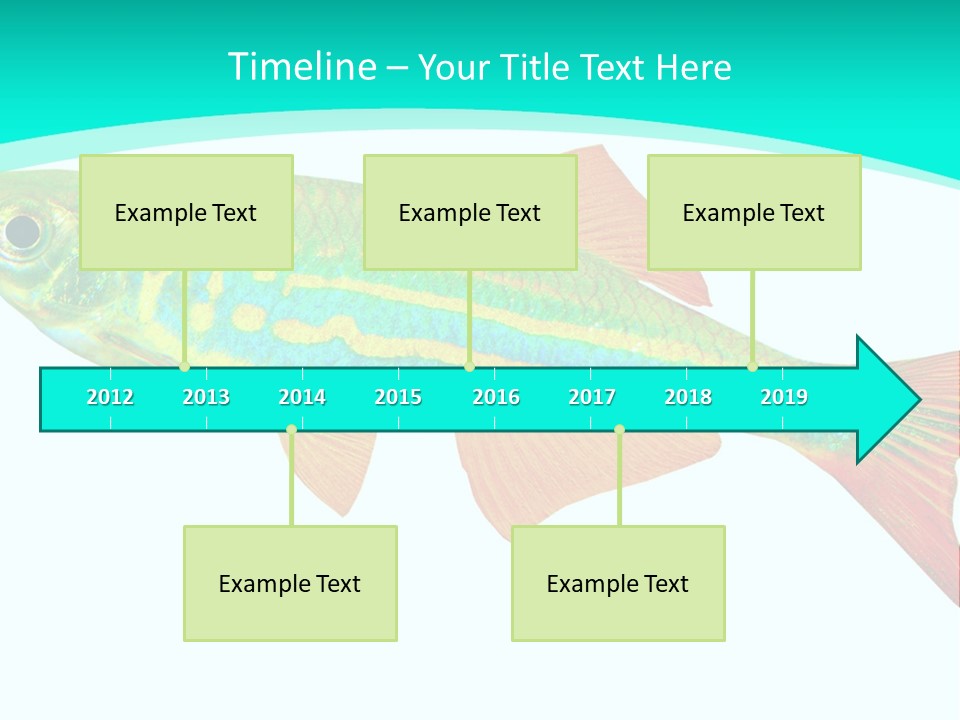 Swimming Design Elements Marinelife PowerPoint Template