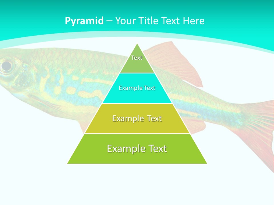 Swimming Design Elements Marinelife PowerPoint Template