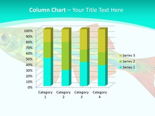 Swimming Design Elements Marinelife PowerPoint Template