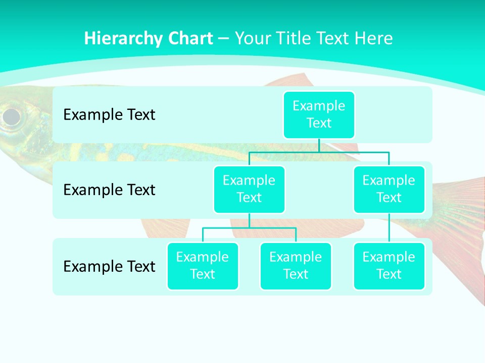Swimming Design Elements Marinelife PowerPoint Template