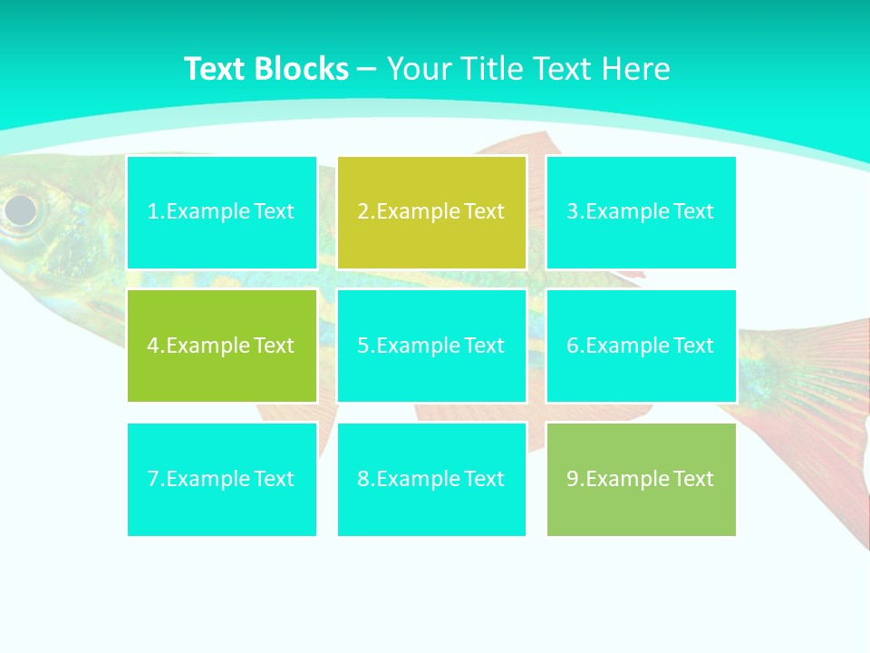 Swimming Design Elements Marinelife PowerPoint Template