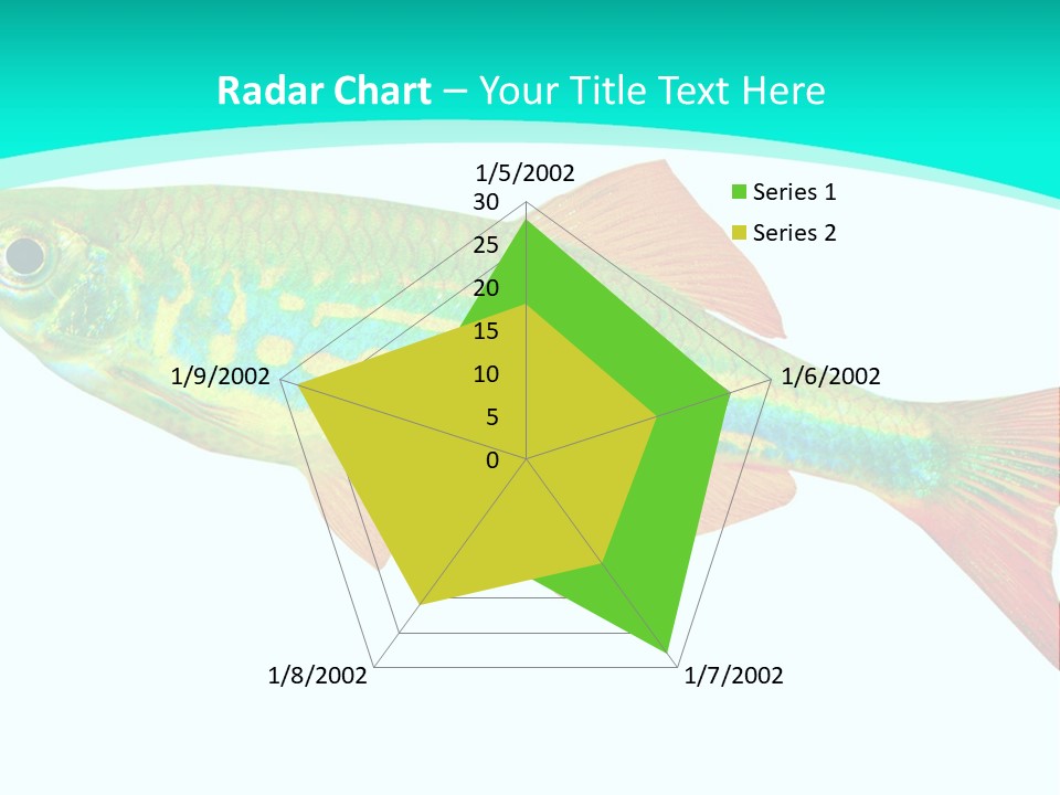 Swimming Design Elements Marinelife PowerPoint Template