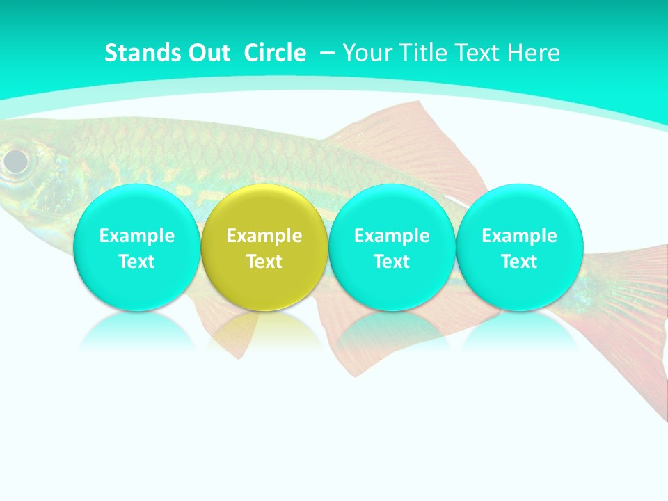 Swimming Design Elements Marinelife PowerPoint Template