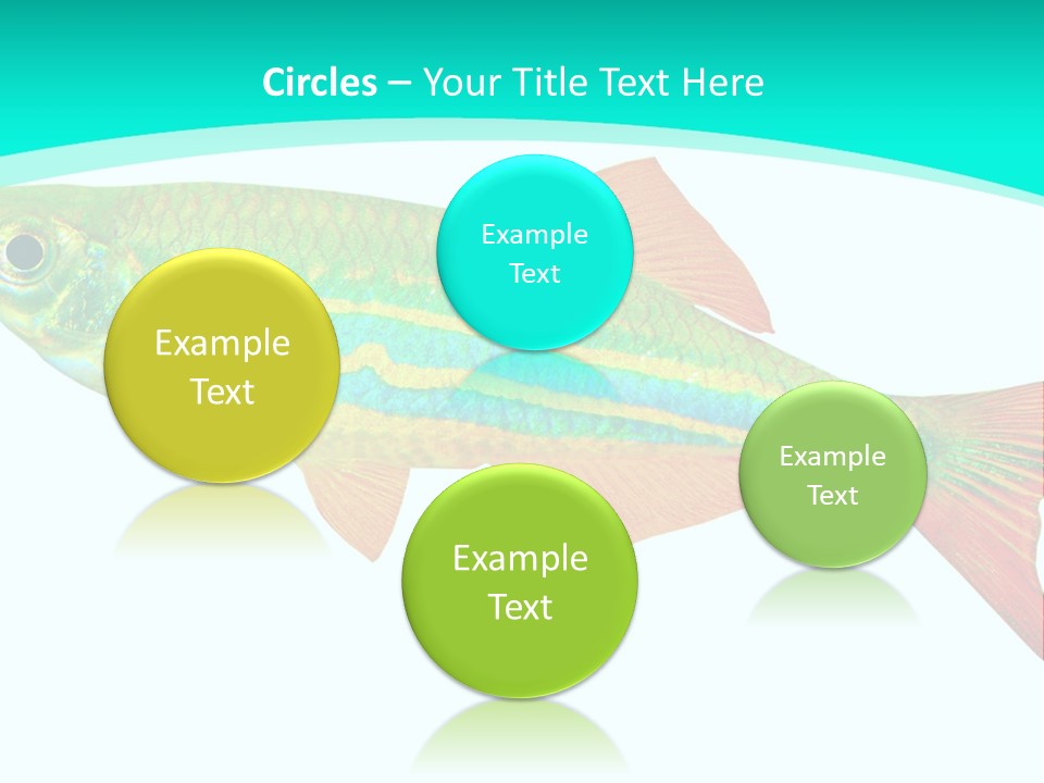 Swimming Design Elements Marinelife PowerPoint Template