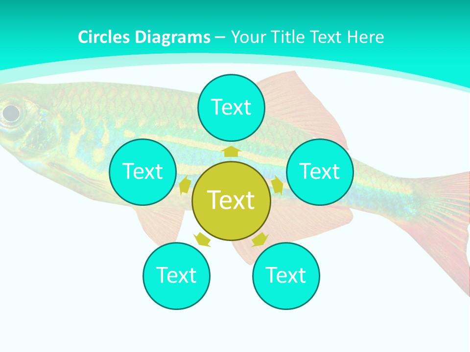 Swimming Design Elements Marinelife PowerPoint Template