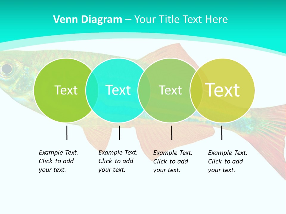 Swimming Design Elements Marinelife PowerPoint Template