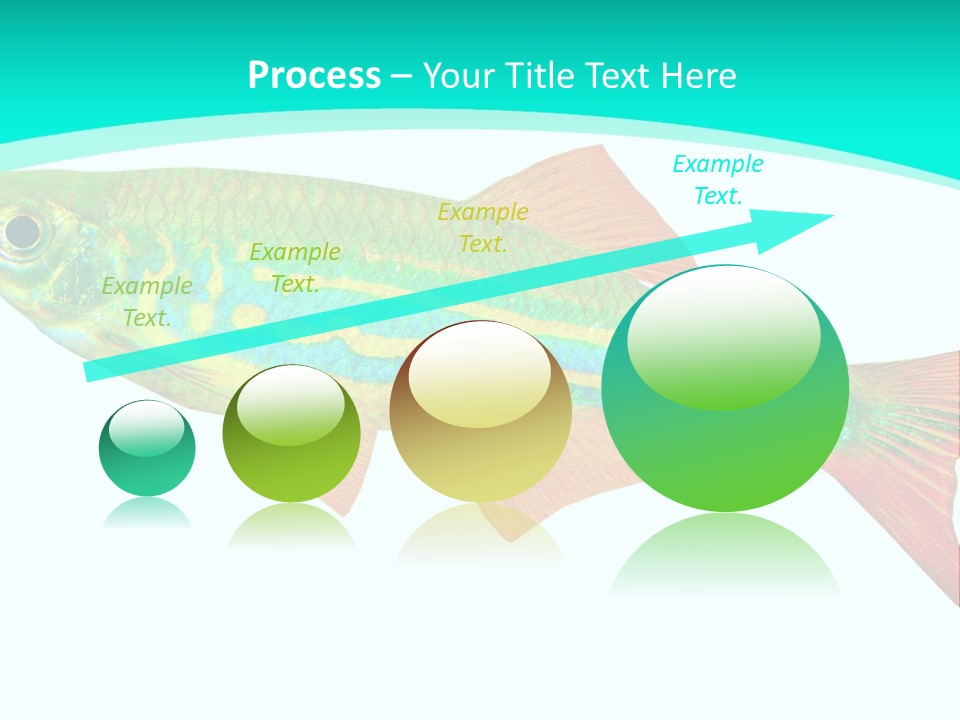 Swimming Design Elements Marinelife PowerPoint Template