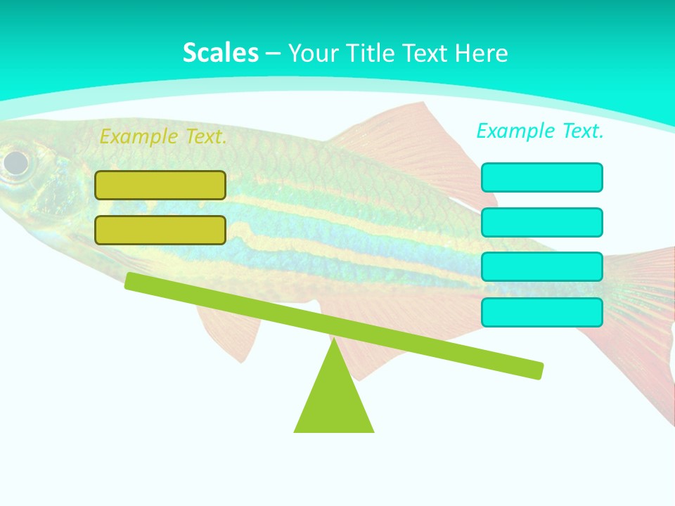 Swimming Design Elements Marinelife PowerPoint Template