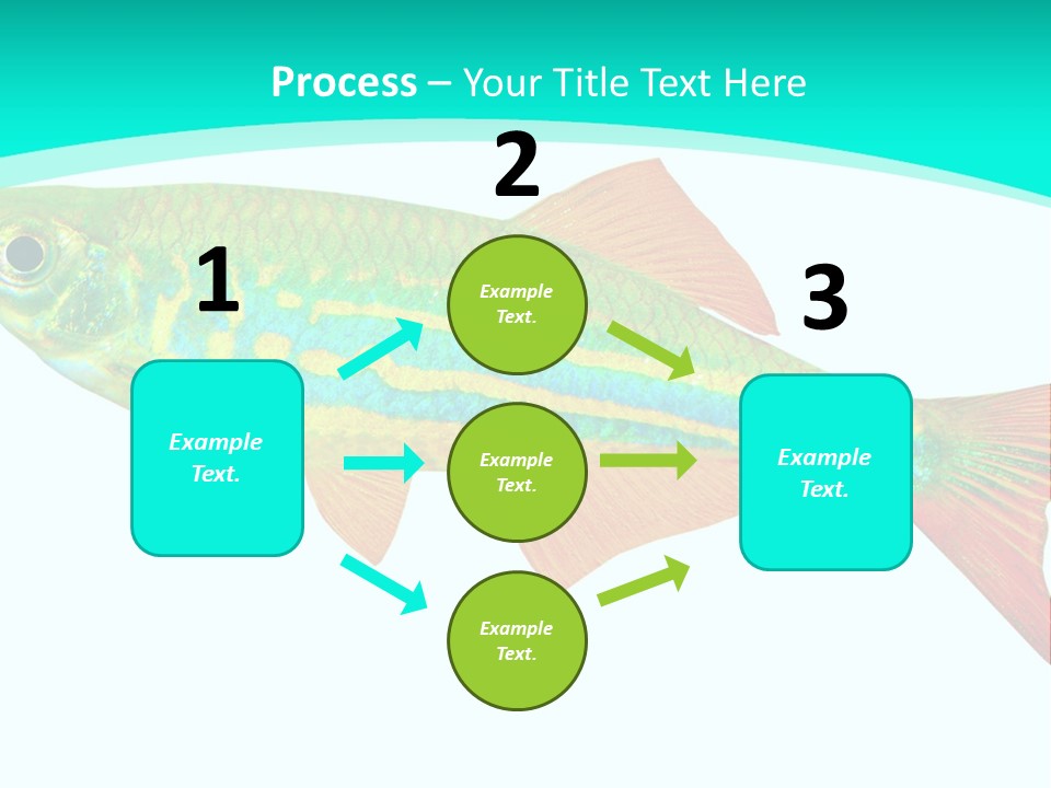 Swimming Design Elements Marinelife PowerPoint Template