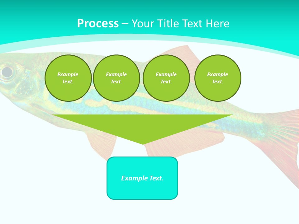 Swimming Design Elements Marinelife PowerPoint Template