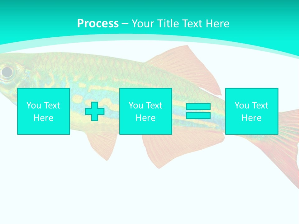 Swimming Design Elements Marinelife PowerPoint Template