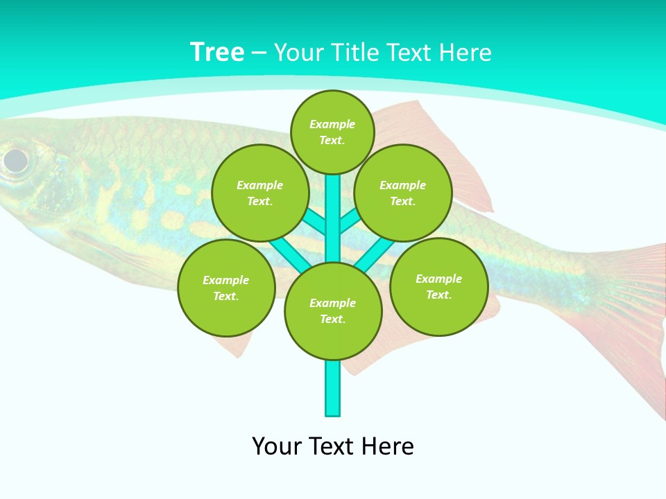 Swimming Design Elements Marinelife PowerPoint Template