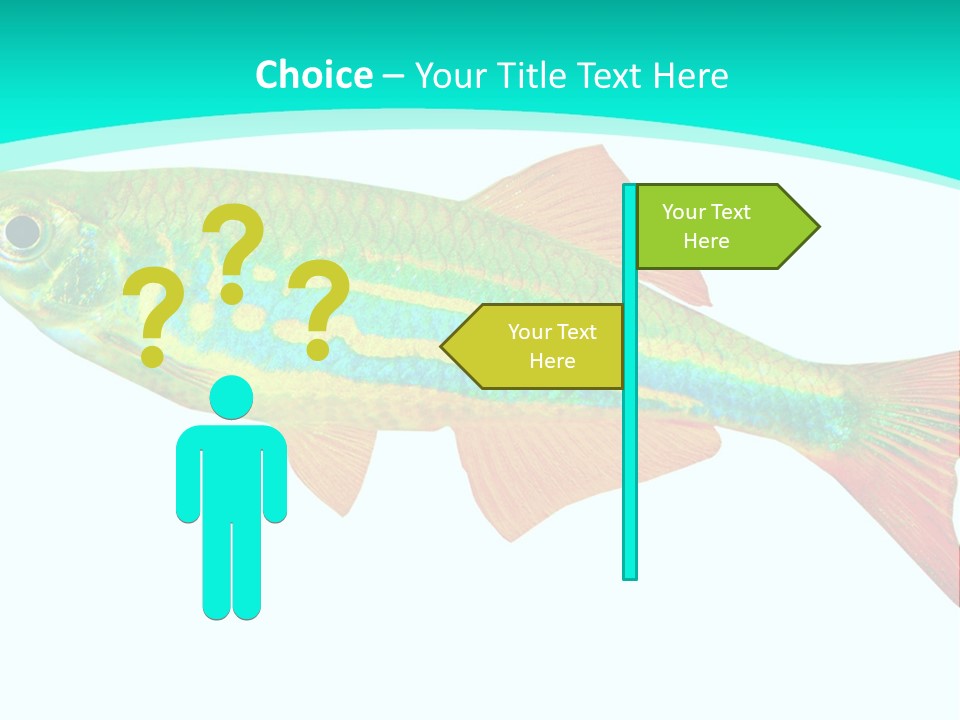 Swimming Design Elements Marinelife PowerPoint Template