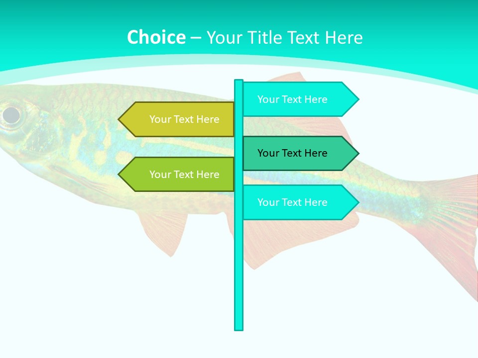 Swimming Design Elements Marinelife PowerPoint Template