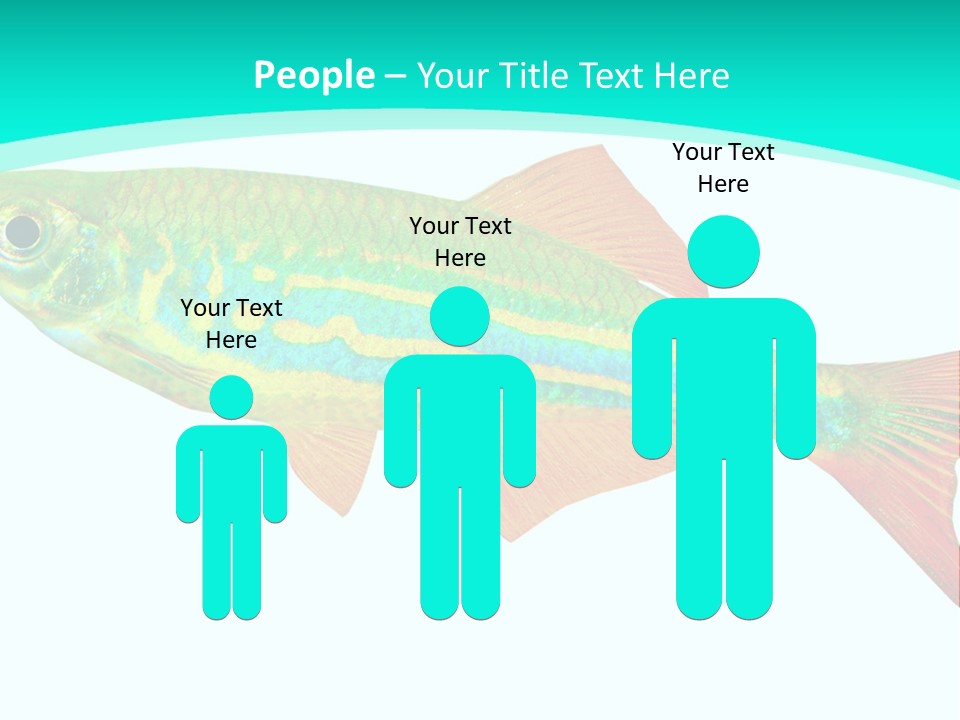 Swimming Design Elements Marinelife PowerPoint Template