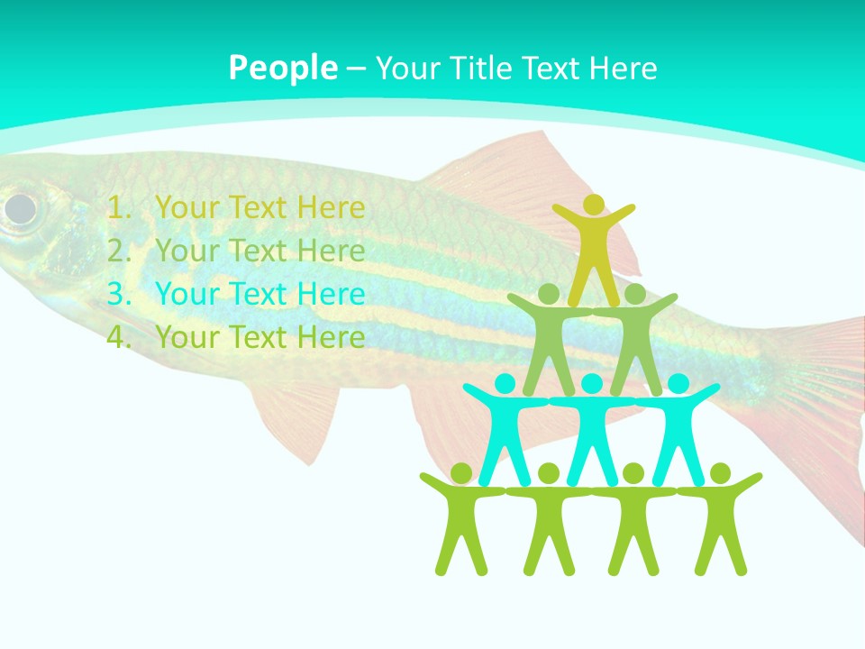 Swimming Design Elements Marinelife PowerPoint Template