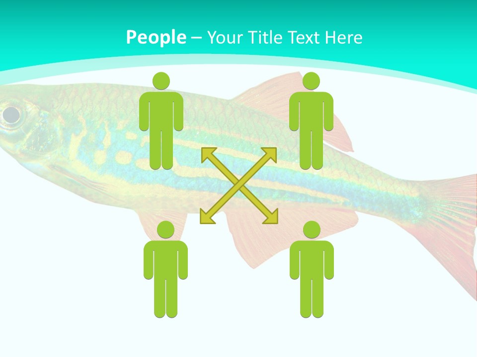 Swimming Design Elements Marinelife PowerPoint Template