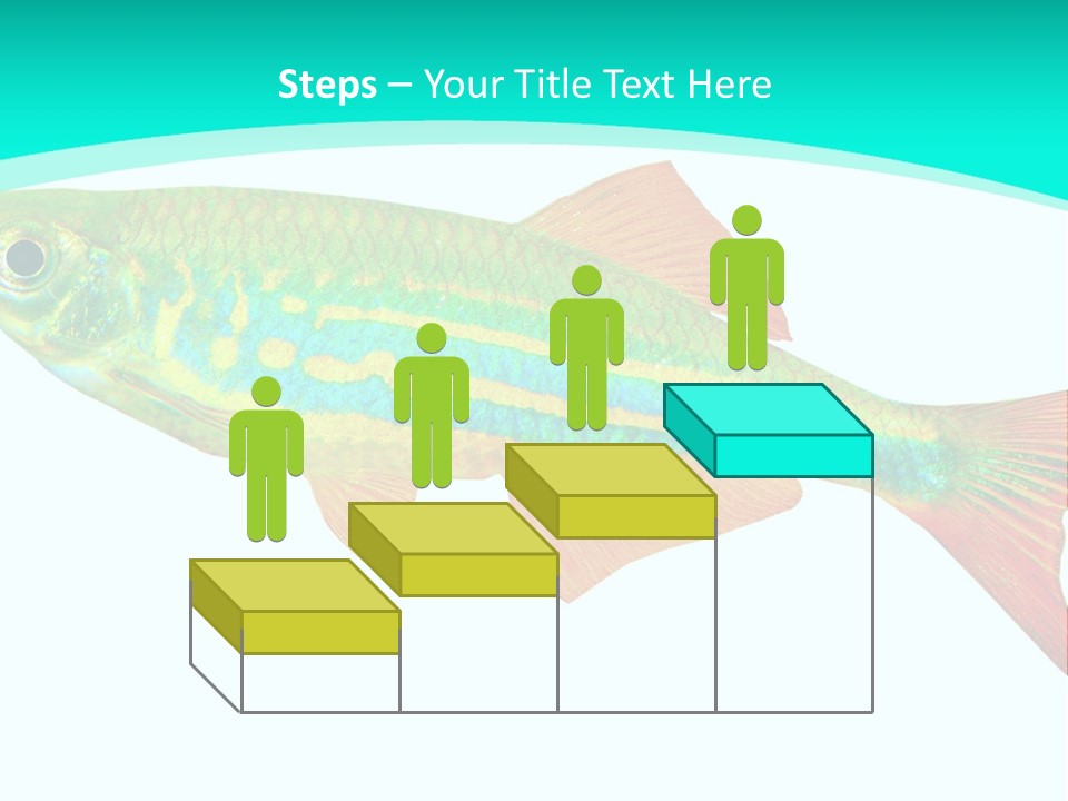 Swimming Design Elements Marinelife PowerPoint Template