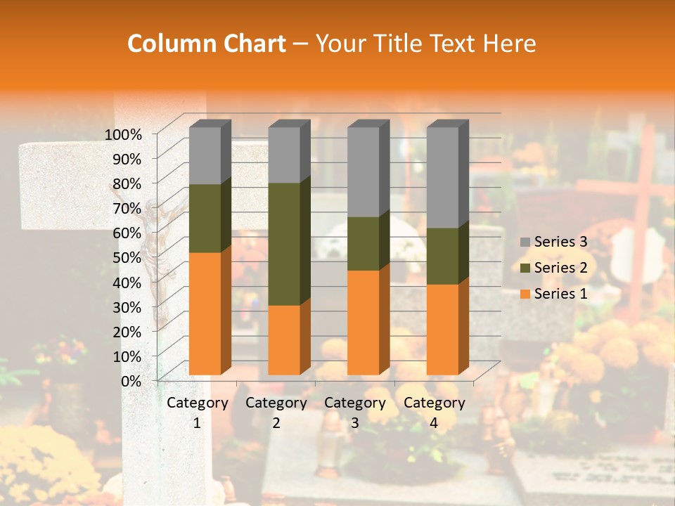 Stone Wroclaw Season PowerPoint Template