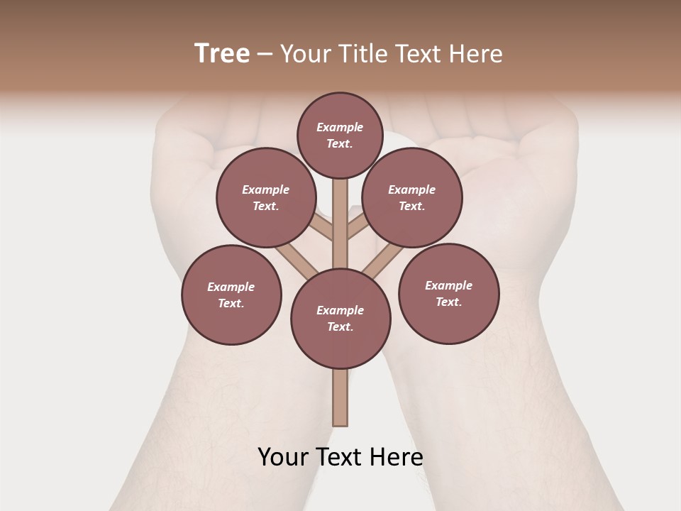 Person Automobile Small PowerPoint Template