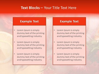 Isolated Delicacy Lunch PowerPoint Template