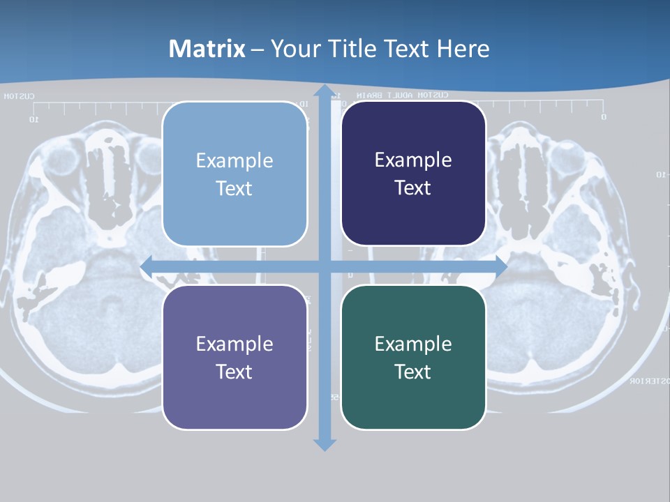 Picture Test Brain PowerPoint Template