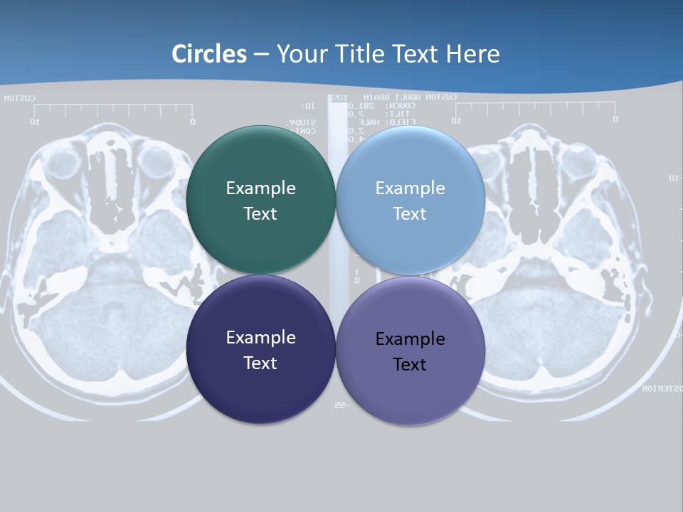 Picture Test Brain PowerPoint Template