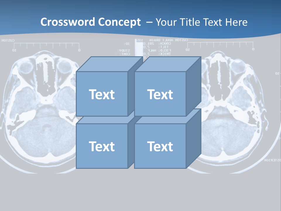 Picture Test Brain PowerPoint Template