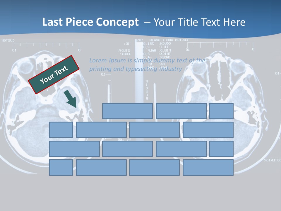 Picture Test Brain PowerPoint Template