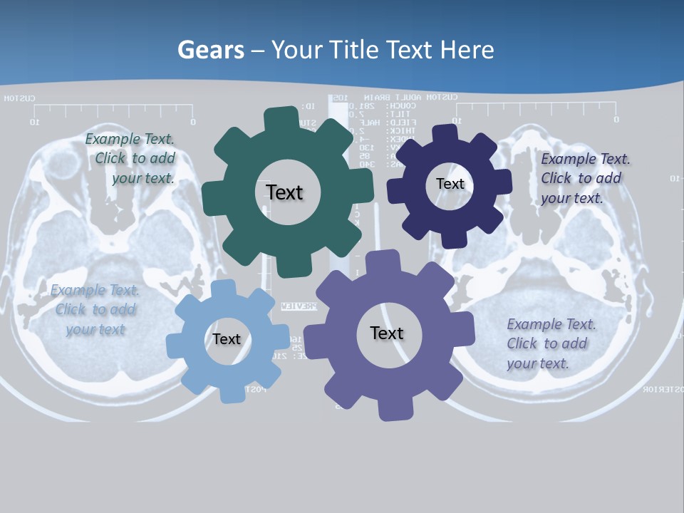 Picture Test Brain PowerPoint Template
