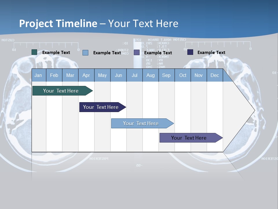 Picture Test Brain PowerPoint Template