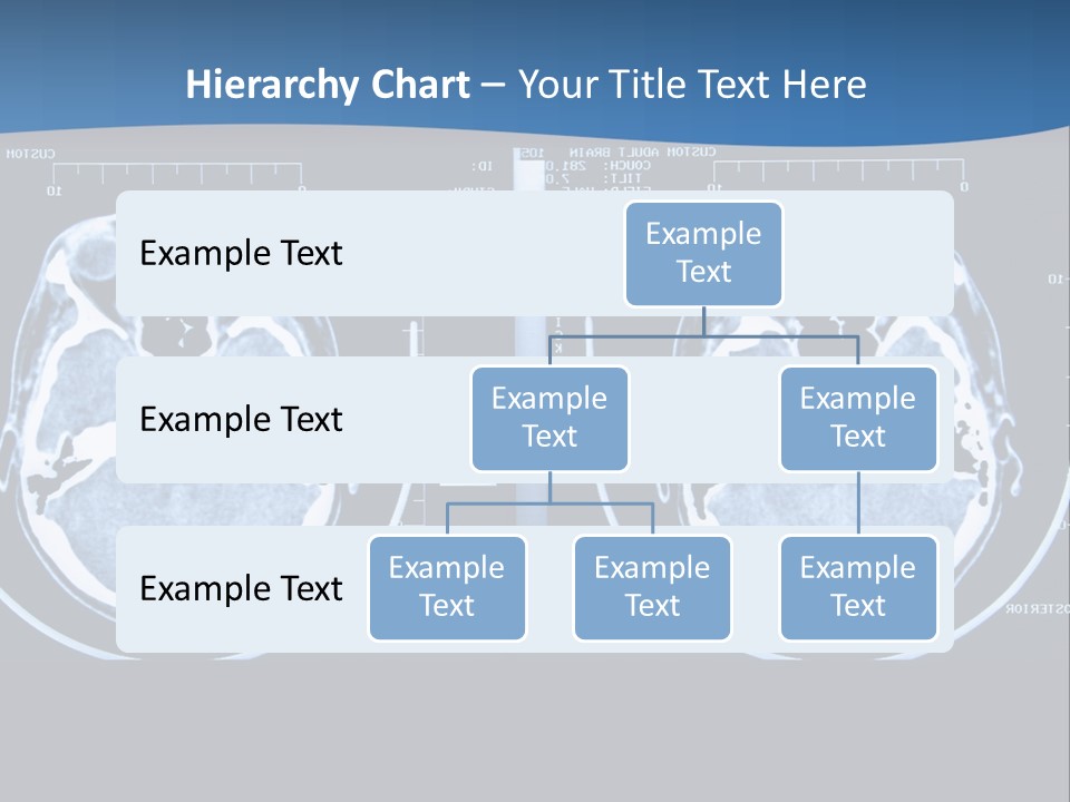 Picture Test Brain PowerPoint Template