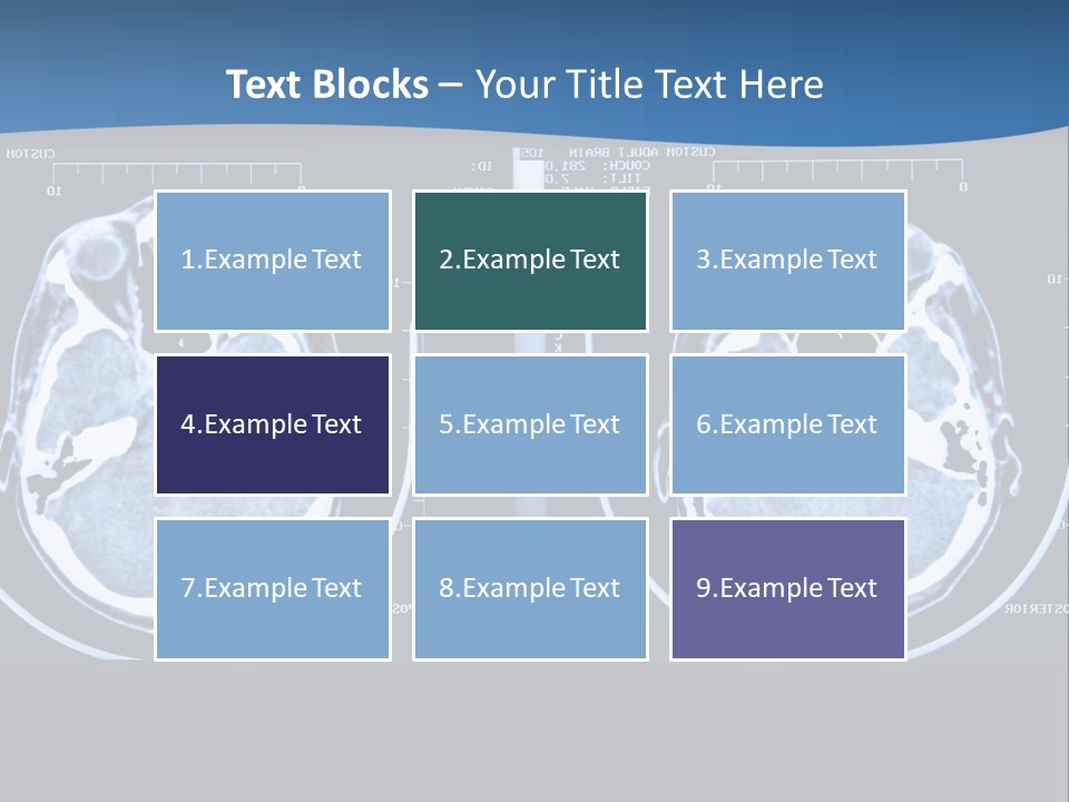 Picture Test Brain PowerPoint Template