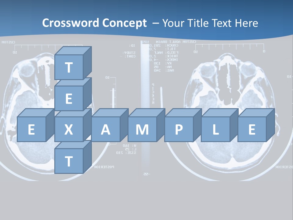 Picture Test Brain PowerPoint Template