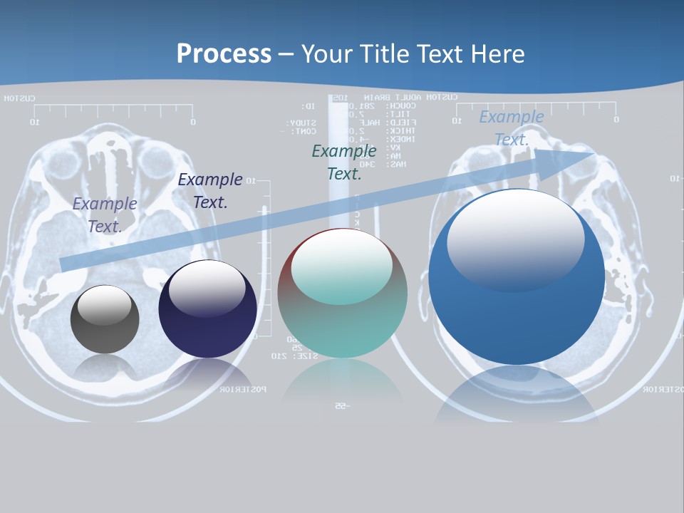 Picture Test Brain PowerPoint Template