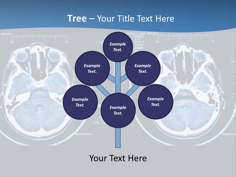 Picture Test Brain PowerPoint Template