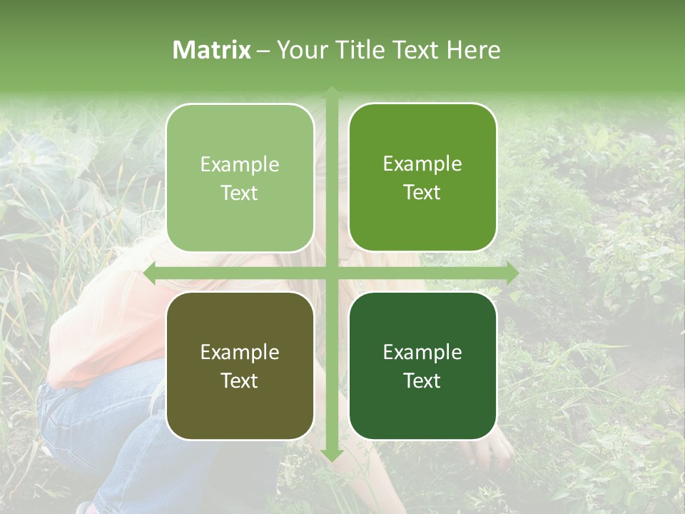 German Caldarium Ancient PowerPoint Template