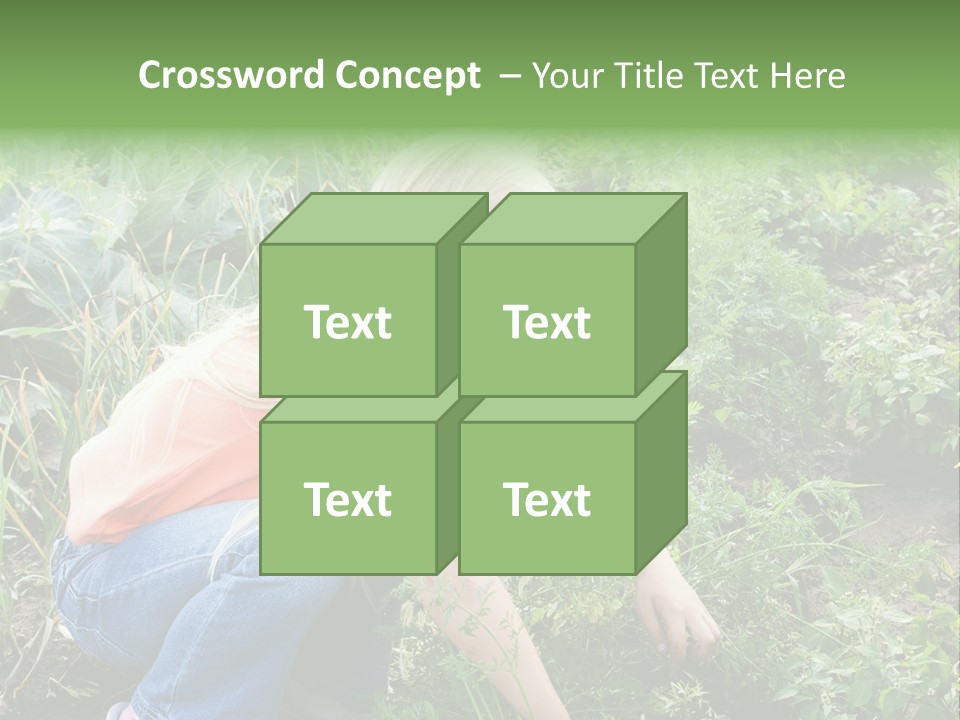 German Caldarium Ancient PowerPoint Template