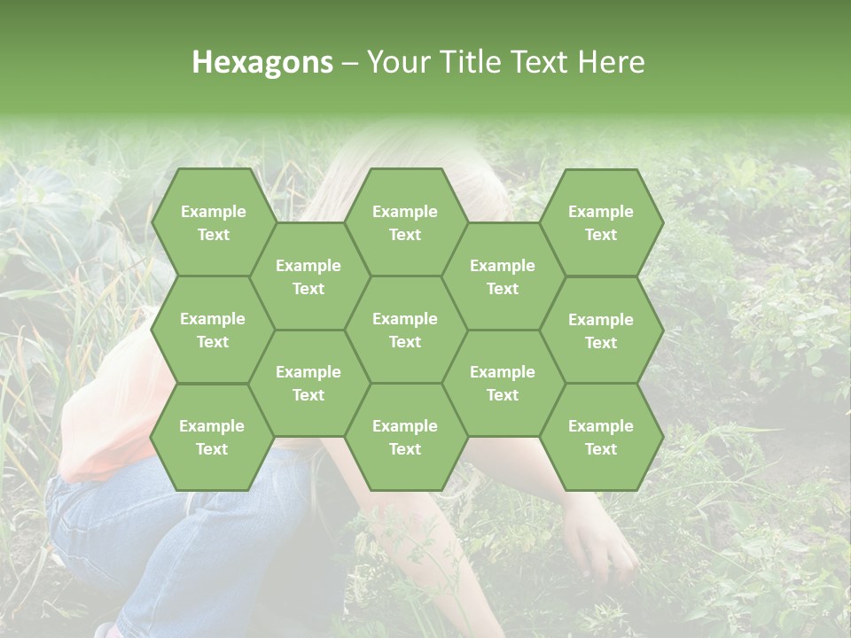 German Caldarium Ancient PowerPoint Template