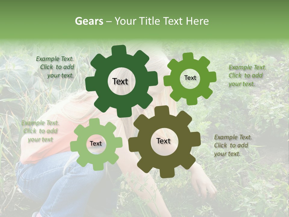 German Caldarium Ancient PowerPoint Template