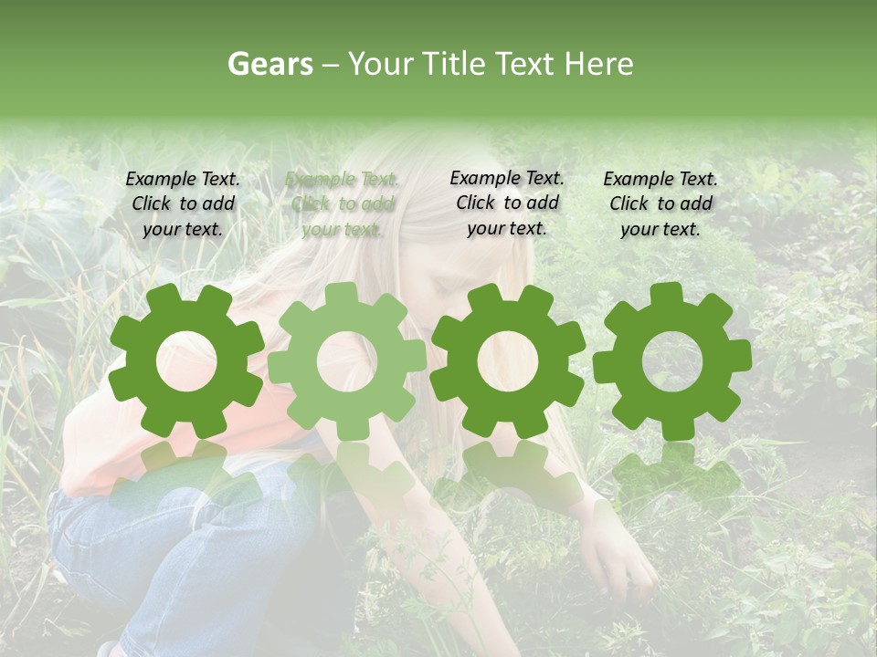 German Caldarium Ancient PowerPoint Template