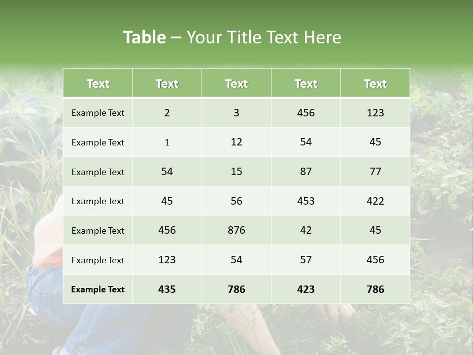German Caldarium Ancient PowerPoint Template