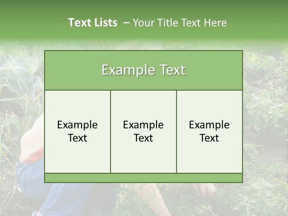 German Caldarium Ancient PowerPoint Template