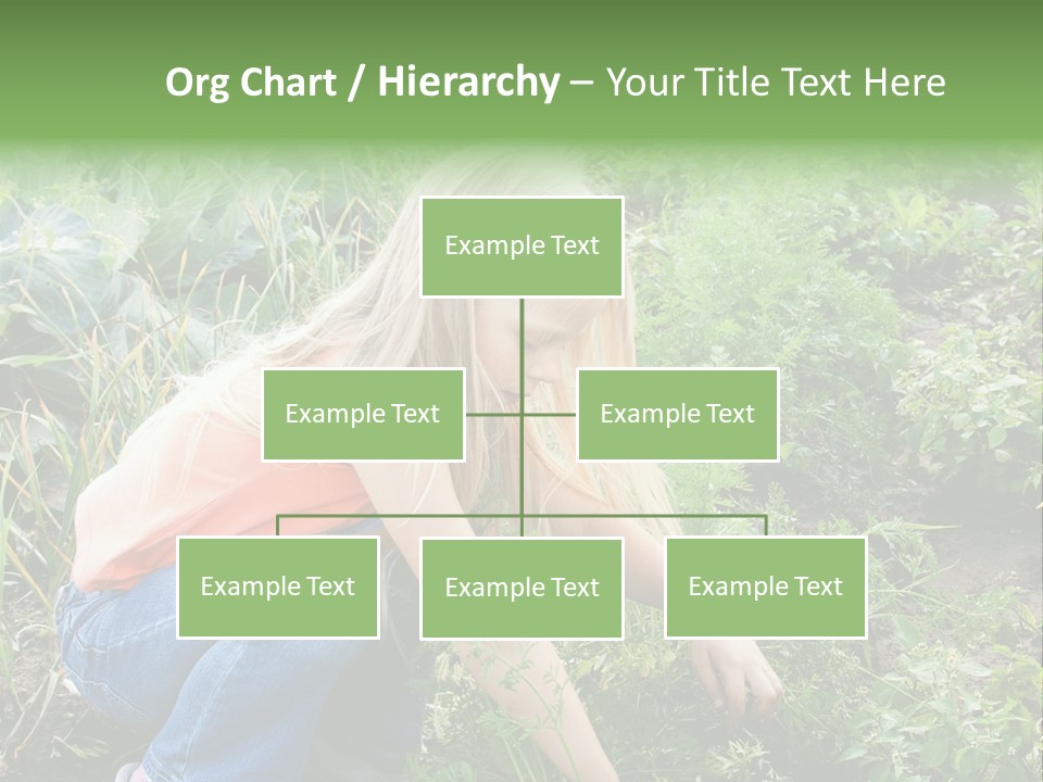 German Caldarium Ancient PowerPoint Template
