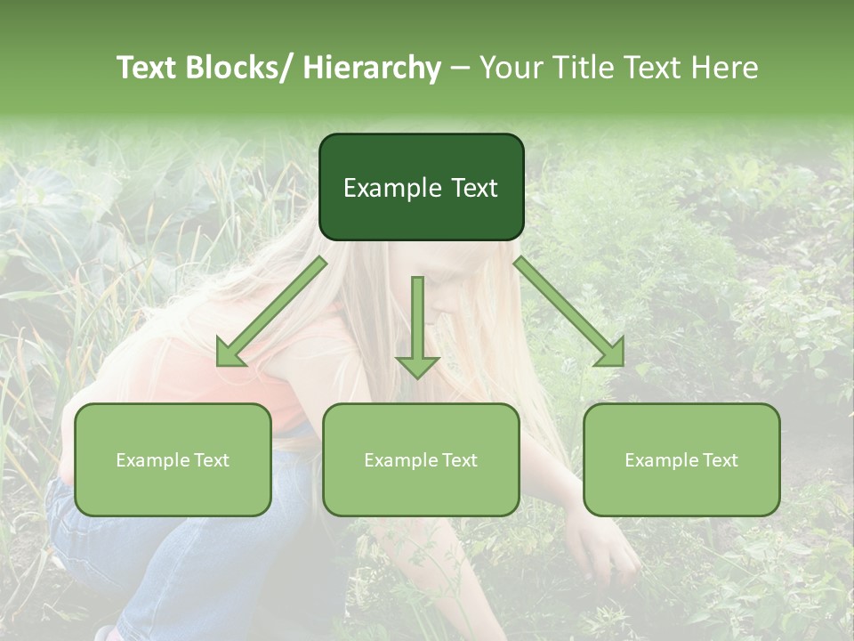 German Caldarium Ancient PowerPoint Template
