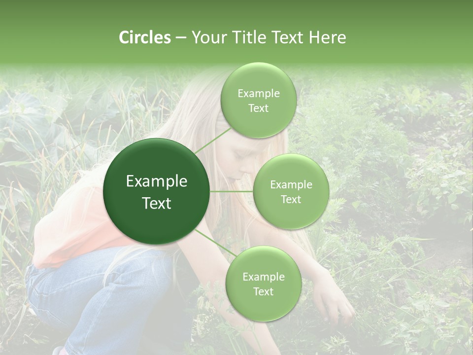 German Caldarium Ancient PowerPoint Template