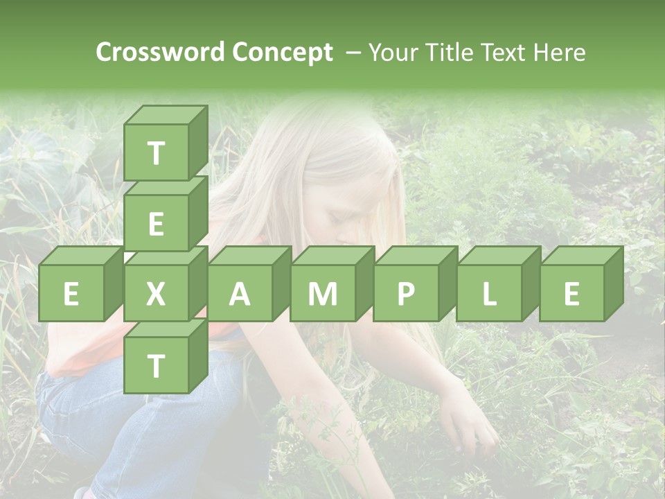 German Caldarium Ancient PowerPoint Template