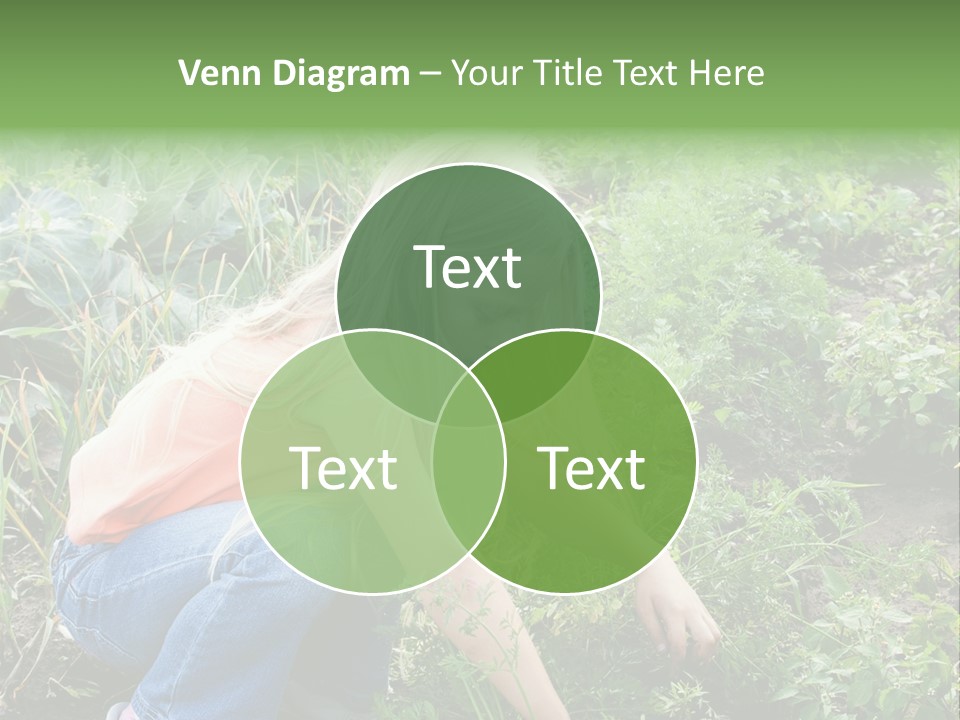 German Caldarium Ancient PowerPoint Template