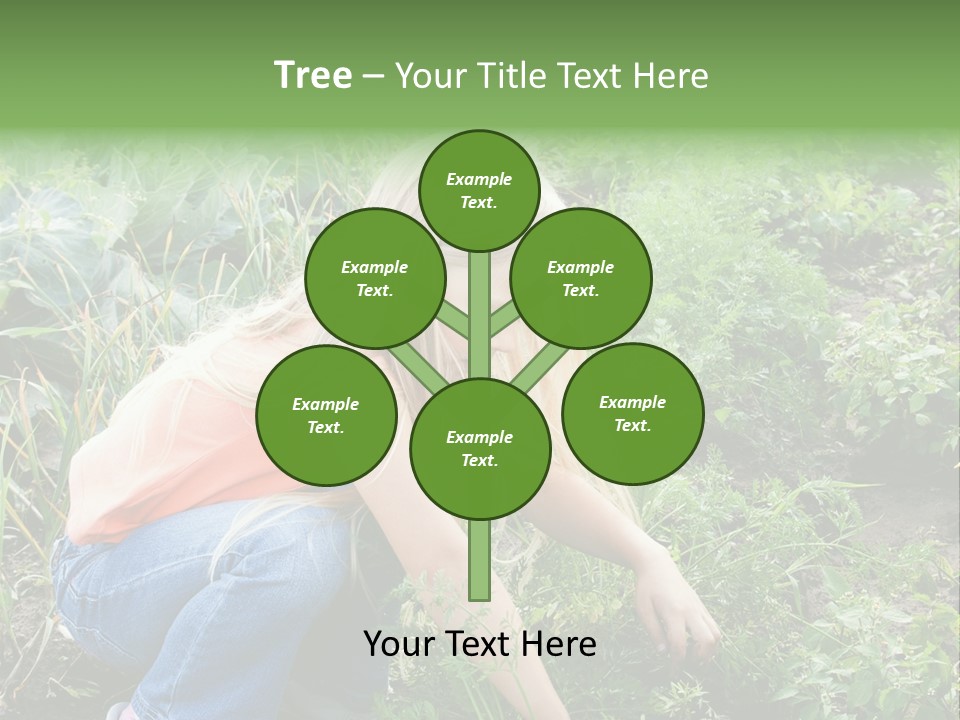 German Caldarium Ancient PowerPoint Template